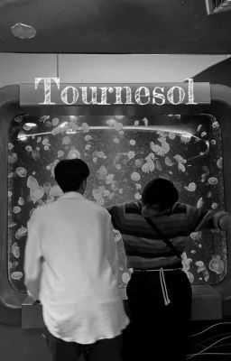 Tournesol