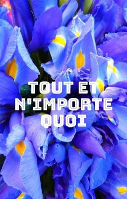 Tout et n'importe quoi [tome 2]