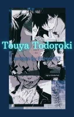 Touya Todoroki {keine x reader Story}