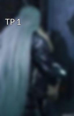 TP 1