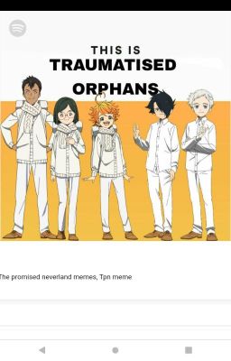 Tpn incorrect quotes