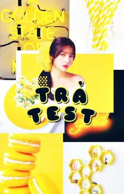 Trả Test