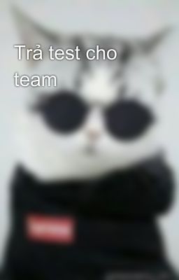 Trả test cho team