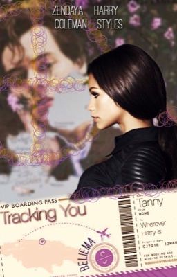 Tracking You || HS