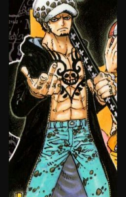 ( Trafalgar Law * Reader) Another story 2