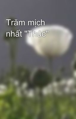 Trăm mịch nhất 