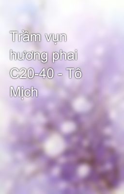 Trầm vụn hương phai C20-40 - Tô Mịch