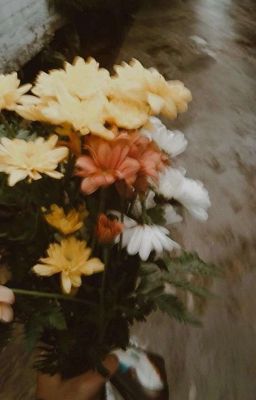 trans | jumartin | đồng đội cứ bị tán thì làm sao?