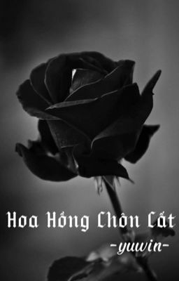 [trans; yuwin} Hoa Hồng Chôn Cất