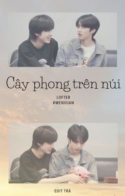 [TRANSFIC] [VĂN HIÊN/文轩 ] CÂY PHONG TRÊN NÚI