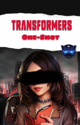 Transformers  / One-Shot/