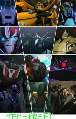 Transformers Prime - Preferencje