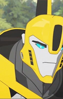 Transformers Robots in Disguise: Bumblebee or Killer Bee?