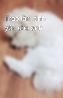 Trao lầm tình yêu cho anh