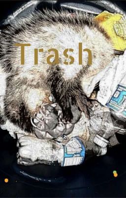 trash