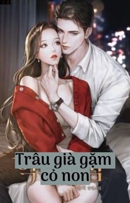 Trâu Già Gặm Cỏ Non