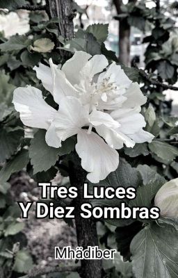 Tres Luces Y Diez Sombras 