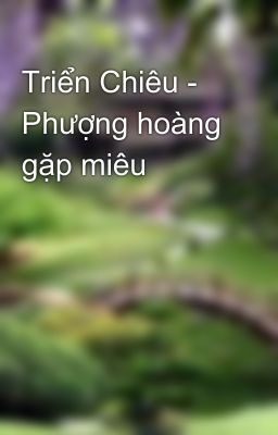 Triển Chiêu - Phượng hoàng gặp miêu