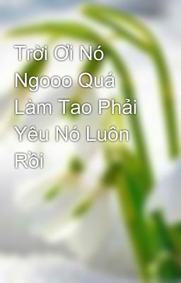 Trời Ơi Nó Ngooo Quá Làm Tao Phải Yêu Nó Luôn Rồi