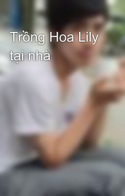 Trồng Hoa Lily tại nhà