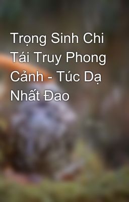 Trọng Sinh Chi Tái Truy Phong Cảnh - Túc Dạ Nhất Đao