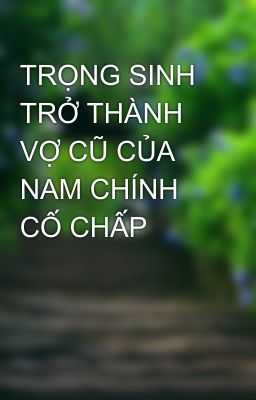 TRỌNG SINH TRỞ THÀNH VỢ CŨ CỦA NAM CHÍNH CỐ CHẤP