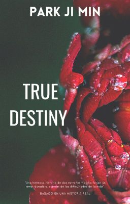 -TRUE DESTINY-  /YM/