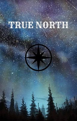 True North