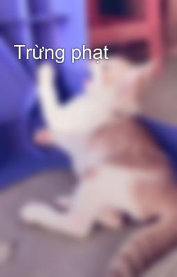 Trừng phạt