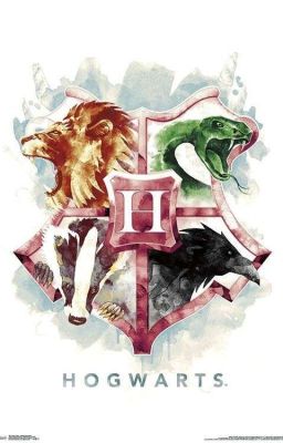 TRƯỞNG THÀNH CÙNG HOGWARTS