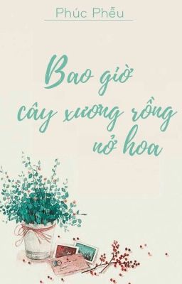 [Truyện ngắn] Bao giờ cây xương rồng nở hoa