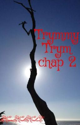 Trymmy Trym chap 2