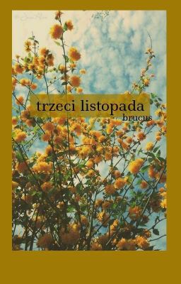 trzeci listopada; oneshot