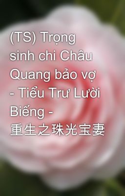 (TS) Trọng sinh chi Châu Quang bảo vợ - Tiểu Trư Lười Biếng - 重生之珠光宝妻