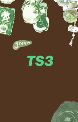Ts3