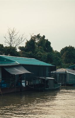Tự sự.
