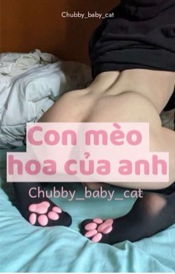 [TỤC/ABO/SONG TÍNH] Con mèo hoa của anh 