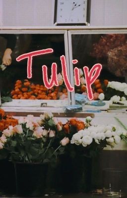 Tulip