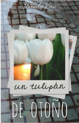 Tulipán de Otoño