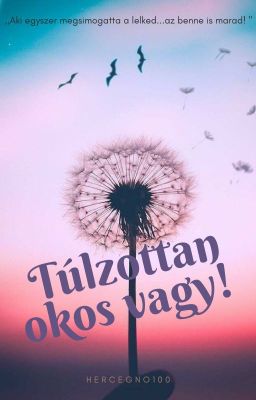 Túlzottan okos vagy! [BEFEJEZETT][BTS]