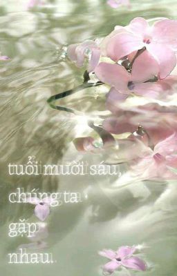 Tuổi mười sáu, chúng ta gặp nhau.
