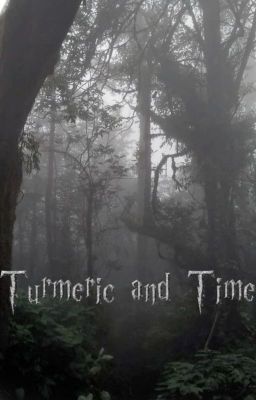 turmeric and time | wizarding world apply fic