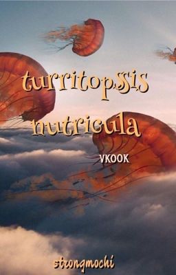 turritopsis nutricula [vkook] 