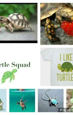 #Turtle Squad