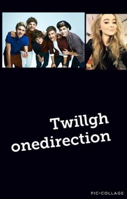 Twillgh onedirection arrété