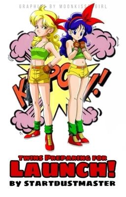 Twin Preparing For Launch! (Male Reader X Dragon Ball) 