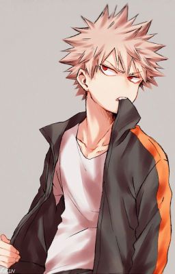 Twisted Hero (My Hero Academia Fanfic)