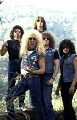 Twisted Sister Imagines