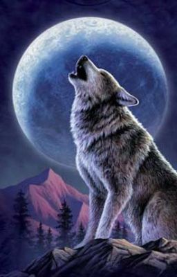 Twisted Wolf(Percy Jackson Fanfiction)