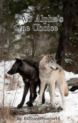 Two Alphas, One Choice (REWRITING) (ON HOLD)